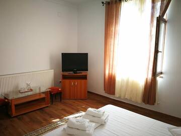 Фото номера Полулюкс Гостевой дом Vila Speranta г. Pleşcoi 19