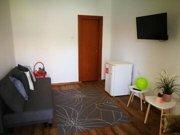 Фото номера Полулюкс Гостевой дом Vila Speranta г. Pleşcoi 12